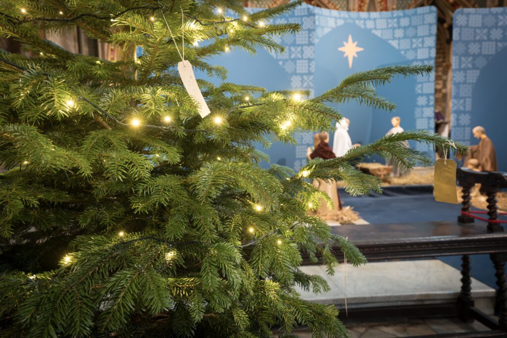 Christmas Prayer Trees Bristol Cathedral