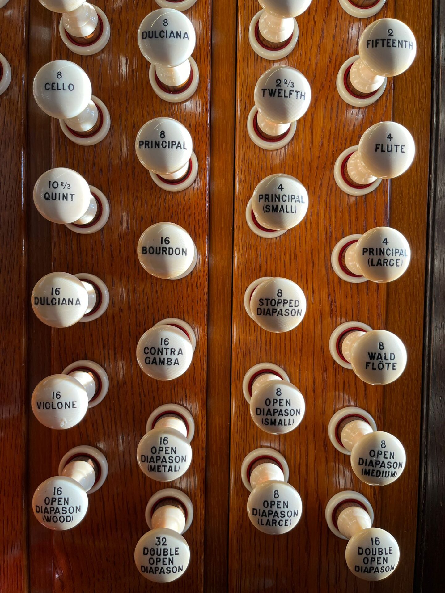 Organ 6