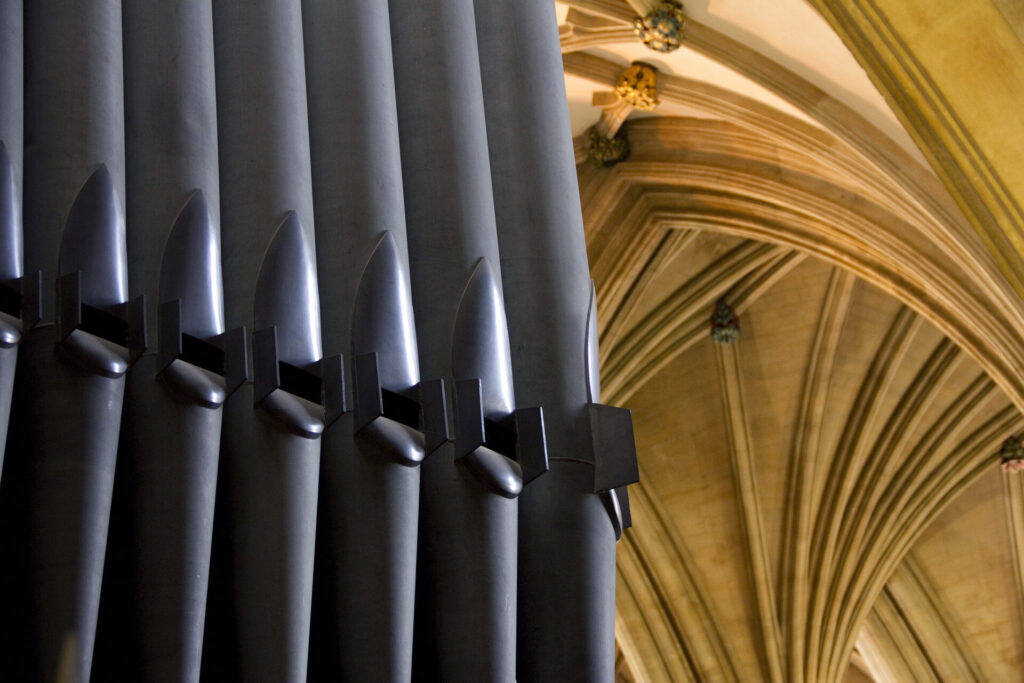 Organ 8