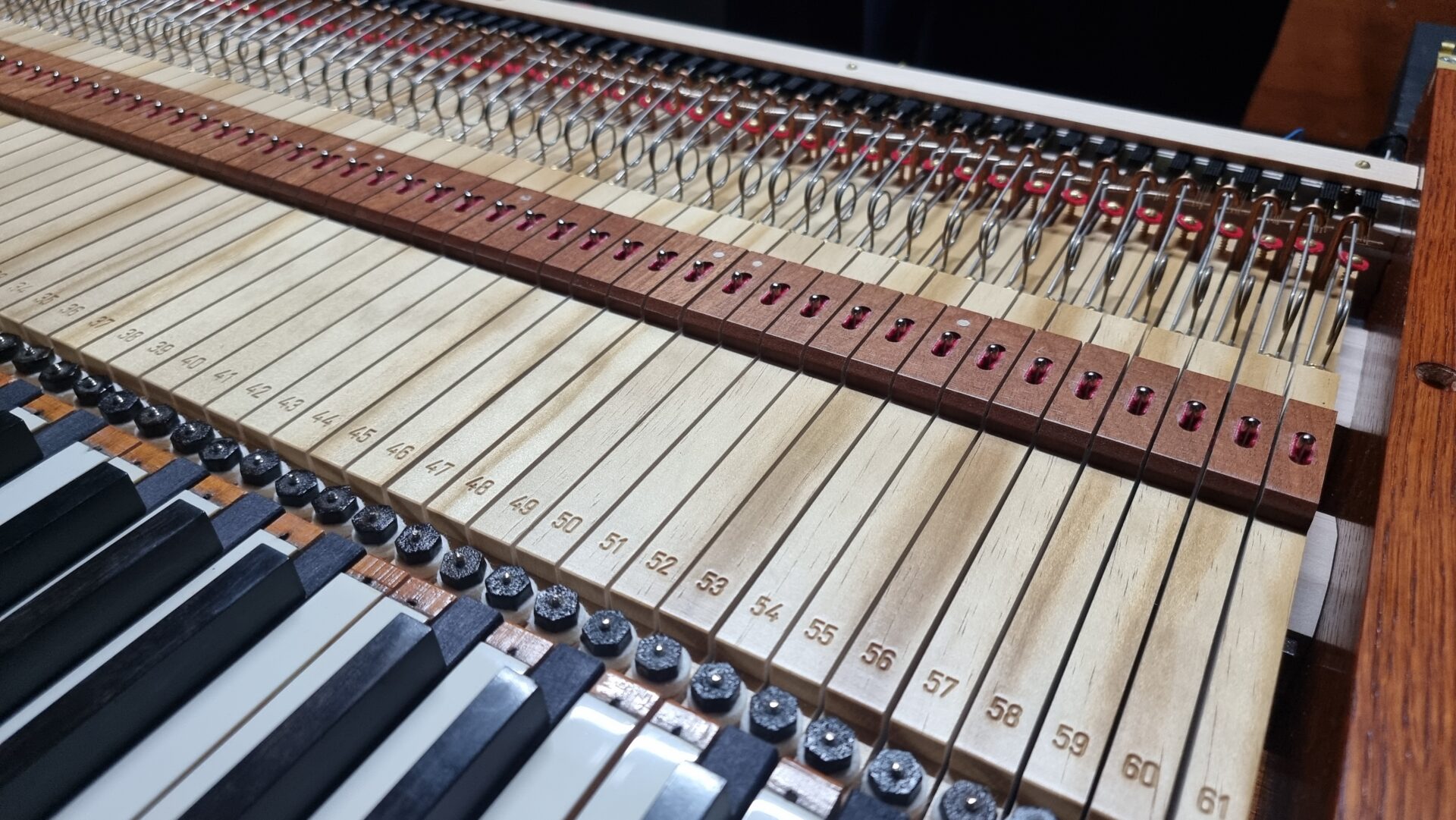 Organ